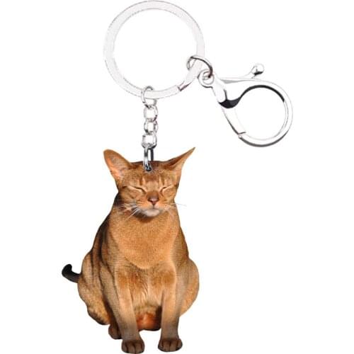 Abyssinian Cat cute keychain acrylic Not 3D for car key drop charms best friends gift accessories chain silver keyring lucky