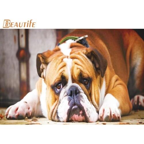 New Arrival Bulldog Poster Cloth Silk Poster Home Decoration Wall Art Fabric Poster Print 30X45cm,40X60cm.50X75cm,60X90cm