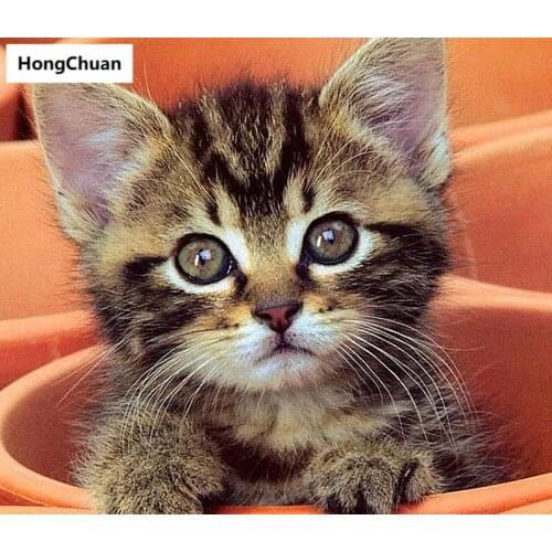 5D DIY square/round diamond painting cross stitch kitten needlework home decoration mural mosaic diamond embroidery gift