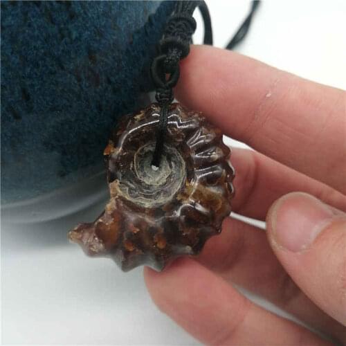 Natural Ammonite Snail Marine Paleontological Fossil Conch Nautiloidea Mineral Specimen Stones pendant