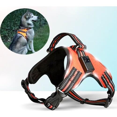 Rechargeable LED Harness for Pets Dog Tailup Nylon Led Flashing Light Dog Harness Collar Pet Safety Leash Belt Dog Accessories