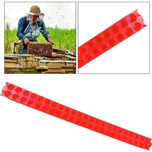 46-Hole Moving Transportation Strip for Queen Bee Transporting Isolator Hive Roller Cage Case Beekeeping Beekeeper Equipment