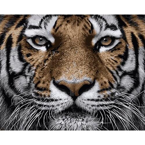 ROYALDREAM Tigers Diy Digital Painting By Digital Modern Wall Art Pictures For The Home Wall Art Works