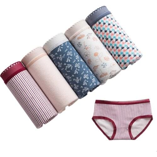 5Pcs/lot Hot sale High-Quality Womens Cotton underwear Seamless Girl Briefs Cute Bow Lingeries Cueca Calcinhas Female Panty XXL