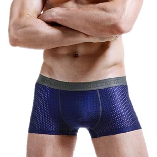 Mesh Boxers Mens Underwear Sexy Panties Mans Intimate Breathable Ice Silk Pouch Underpants Male Boxershorts Homme Plus Size