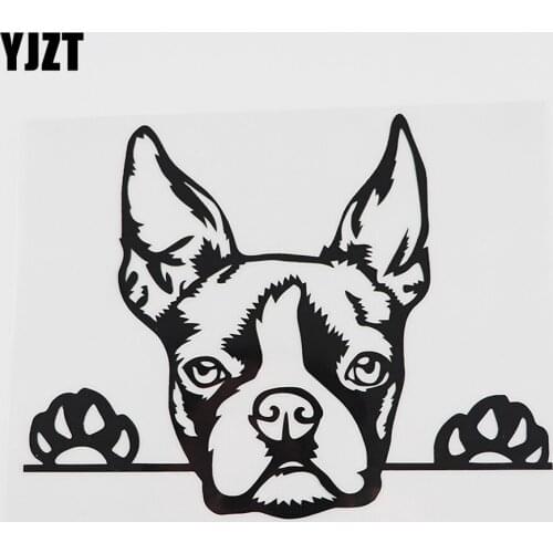 YJZT 17.5CMX13.5CM Cute Boston Terrier Peeking Dog Vinyl Car Sticker Black/Silver 8A-0054