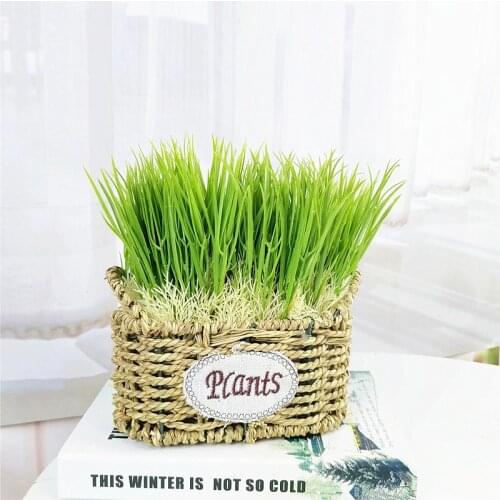 18CM 10PCS Artificial Green Grass Bunch Simulation Onion Grass Plastic Crafts DIY Garden Home Office Desktop Decor Plants Props