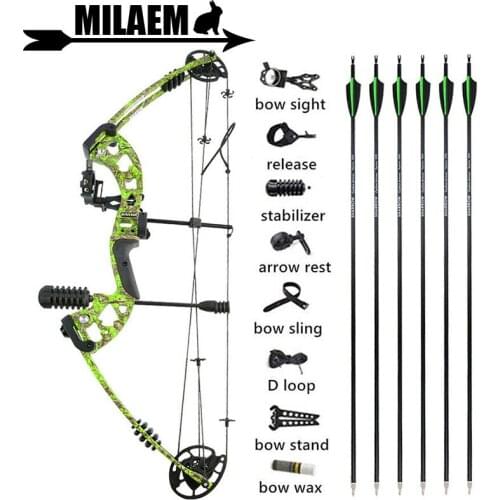 30-60lbs Archery Compound Bow And Arrows Kit Bow Fishing Hunting Adult Target Shooting Outdoor Sport Accessories