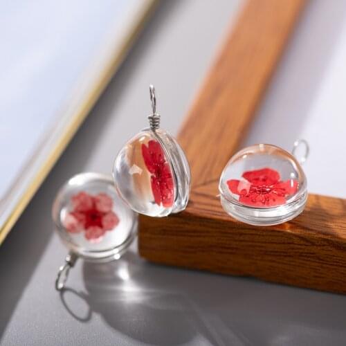 18# Alloy Hook Flat Glass Half Ball Dried Colored Flower Inside Glass beads With Hook #IY329