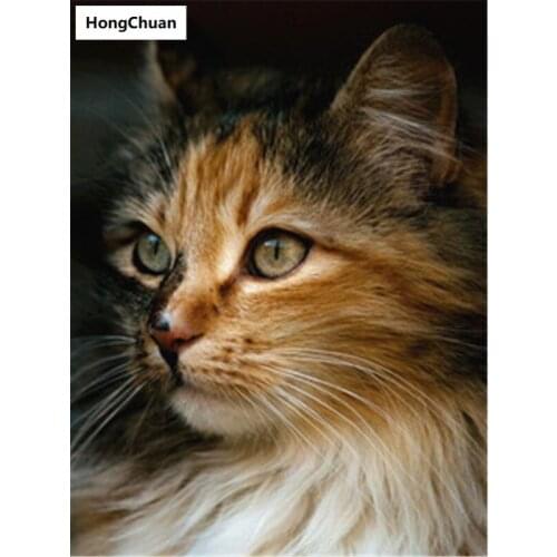 Sexy Cat Full Square/Round 5D DIY Diamond Painting Crafts Mosaic Embroidery Home Decoration Christmas Gift New Year