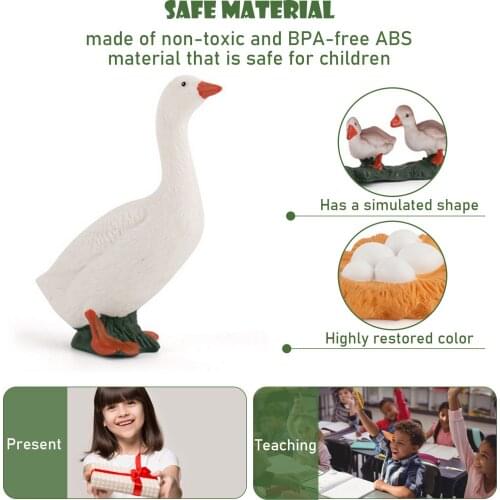 4PCS Simulation Poultry Life Cycle Figures Growth Stage Model Toys for Kids Children Biology Educational Toy Teaching Aids