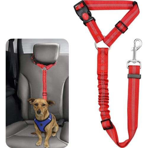 LDLC Dog Harness