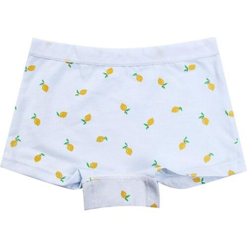YourSeason Girls Panties Summer Baby Girl Pure Cotton Fruits Underpants Children Breathable Soft Underwear Boxer Briefs New