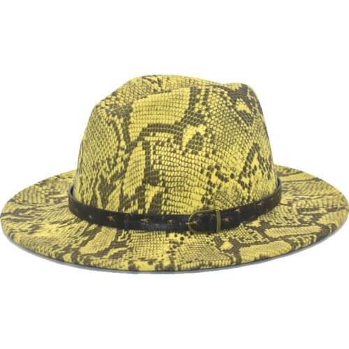 Elegant Ladies Fedoras Mens Autumn And Winter Wool Hat Retro Jazz Hat Wide-Brimmed Gentleman Fashion Hat F66