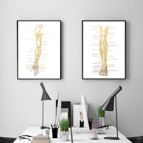 Hands legs Physical Therapy Anatomy Art Print Canvas Painting Nordic Posters And Prints Wall Pictures For Living Room