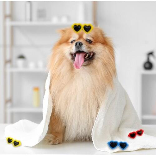 YILANYUNCHUANG Clothes And Footwear For Dogs