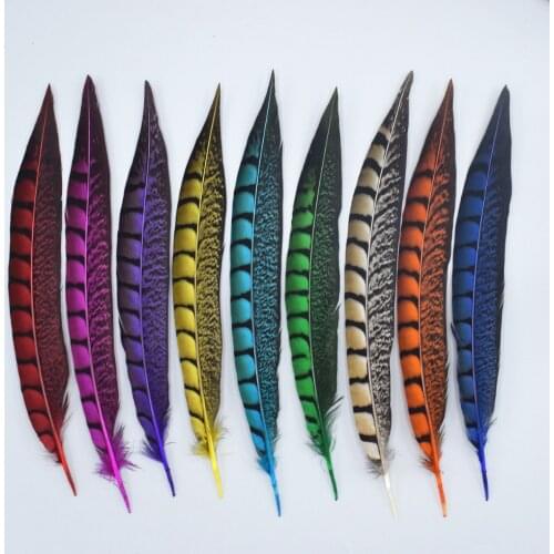 Wholesale 5 pieces / beautiful pheasant feathers 9-11 inches / 23-28 cm DIY clan festival costume / hat decoration