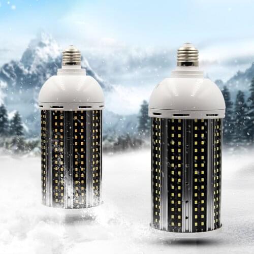 Houkiper Light Bulbs