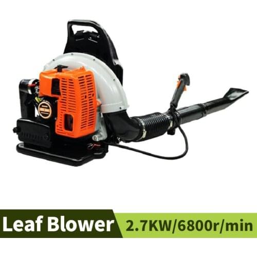 AULAYSED Garden Vacuum Cleaners China