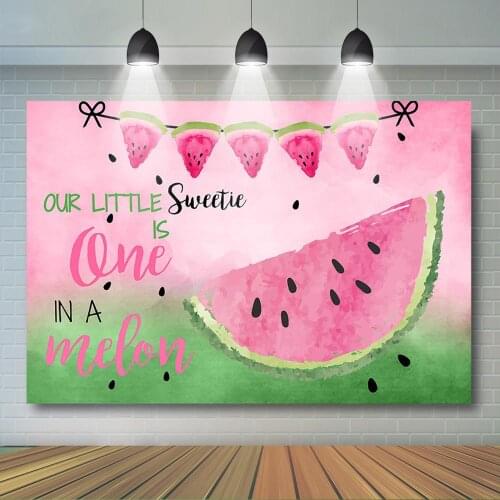 Watermelon Birthday Backdrop One in a Melon Pink Watermelon Background Girls 1st Birthday Party Decor Supplies