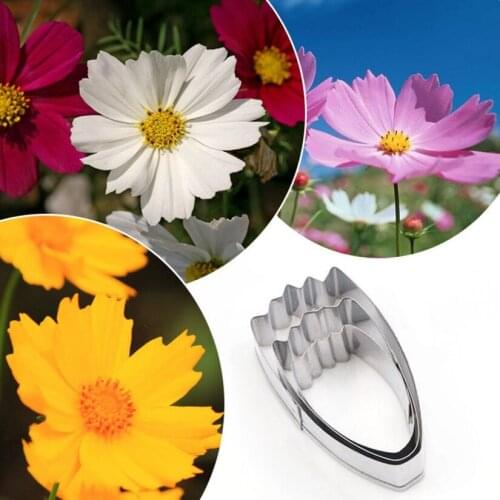 Wholesale 10 Sets(3 pcs/set) Calliopsis Cutters Set Stainless Steel Candy Biscuit Fondant Cookie Cutters Cake Decorating Tools