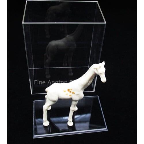 Acrylic Display Jewelry Art Collection Box Case 5 Sided Display Museum Box With Base
