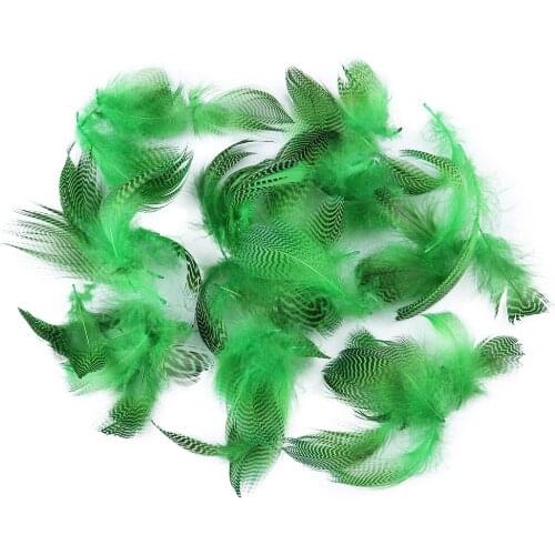 Natural Small Duck Feathers 5-10 CM Decoration for Party Wedding Clothes Sewing Jewelry Accessory Crafts Plumes 100 PCS/Pack