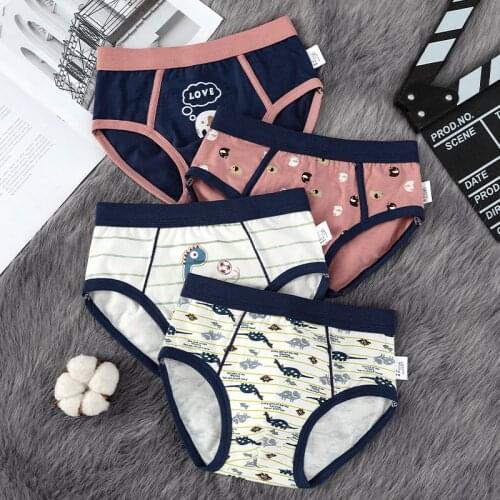 4Pcs Kids Boys Panties Cotton Underwear Underpants Briefs for Boys Childrens Underwear Clothing Kids Underpants