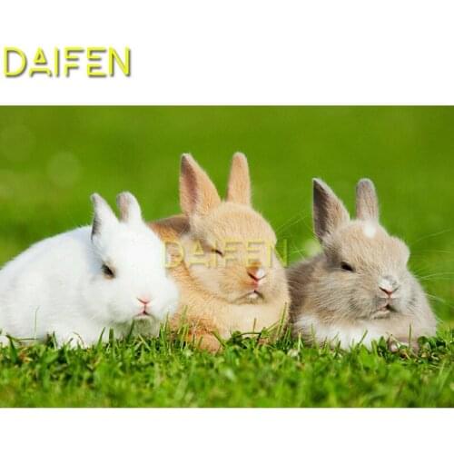 5D DIY Diamond painting Full Round Diamond mosaic Full Square Diamond embroidery Cross stitch white brown gray rabbit glass