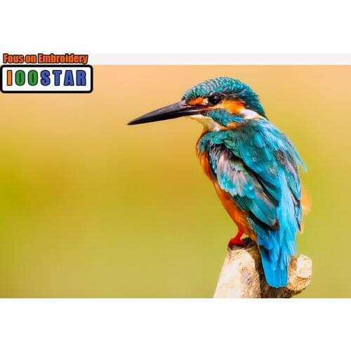 Full Square Diamond embroidery Cross stitch kingfisher Full Round Diamond painting bird DIY 3D Diamond mosaic animal