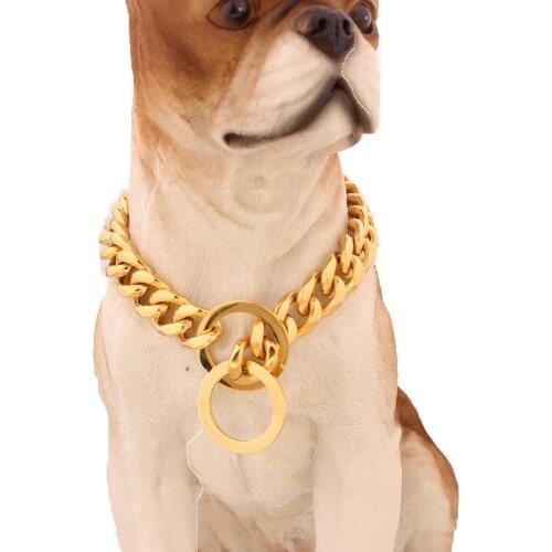 Tiasri 12-30inch dog leash Gold Color Stainless Steel O Chain Snake Chain Dog Harness Twisted Necklace Pet Show Training Choker