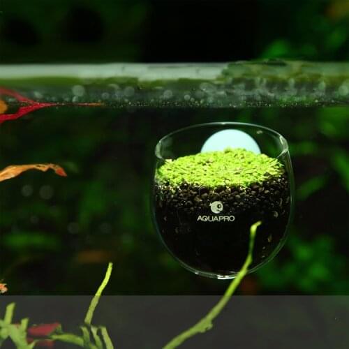 Mini Red Shrimp Aquarium fish Tank aquatic Crystal Glass Pot Plant Cup Holder