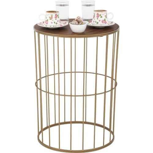 Gold Decorative Coffee Table Metal Toe Pastel Design Living Room Furniture Sofa Table Dining Stool Overcoat Robe Hook Coat Rack