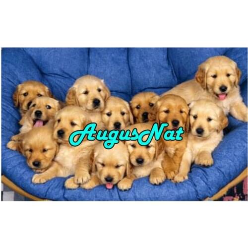 Full square golden retriever diamond painting dogs baby dimond embroidery kids diamant dotz beads picture diamond mosaic animal