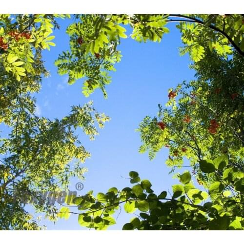 Stretch ceiling film blue sky false ceiling price for ceiling sheet from China