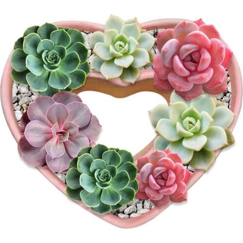 Love Shape Muti-meat Plants Flower Pots Silicone Molds Home Decoration Concrete Mould Cement Vase Mould Concrete Pot Molds