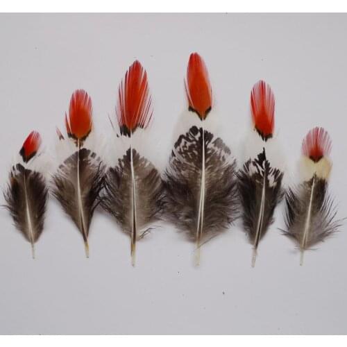 Cheap Lady Amherst 10Pcs 5-10cm Natural Copper Chicken Feather Pheasant Tail Plumes For Mask Clothing Show DIY Crafts Decroation