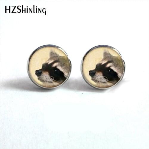 NES-00118 Raccoon Earrings Nature Earrings Ear Studs Cute Raccoon Jewelry Glass Cabochon Earrings Handmade HZ4