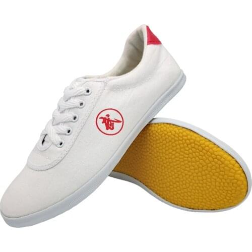 Chinese Kung Fu Tai Chi Shoes Adult Unisex Wushu Slipper Martial Arts Cosy Flat Shoes Men Sneakers Large-Sized Flats Trainers