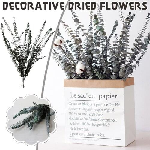 Dried Eucalyptus Globulus Stems Preserved Eucalyptus Branches for DIY Flower Arrangements Wedding Home 40-60cm Free