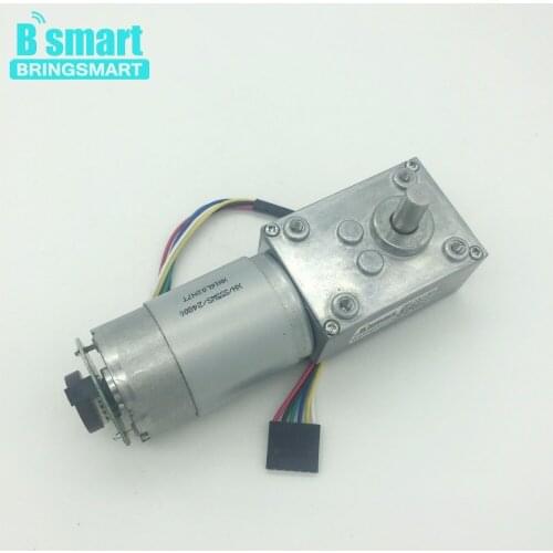 A58SW-555B Encoder Electrical Motor 24V Gear Motor 12V DC Worm Gear Motor