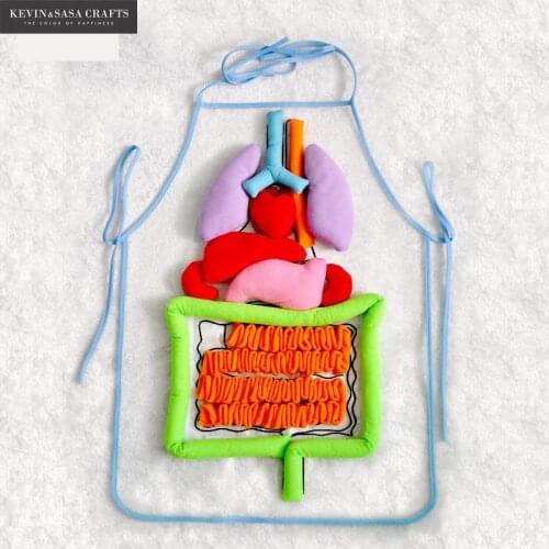 Human Viscera Biology Model Medical Supplies Biology Teaching Model Biology Teaching Medical Student Model For Halloween