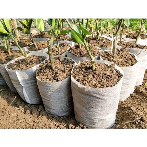 100pcs non woven fabric seedling bag plant grow biodegradable non woven fabric seedling bag eco friendly nurseryw garden Acces