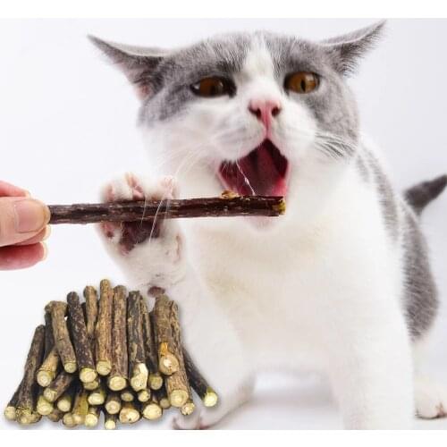 5-20pcs Cat Teeth Sticks Brushing Pure Natural Catnip Pet Toys Molar Toothpaste Stick Fruit Matatabi Branch Cat Snack Sticks Toy