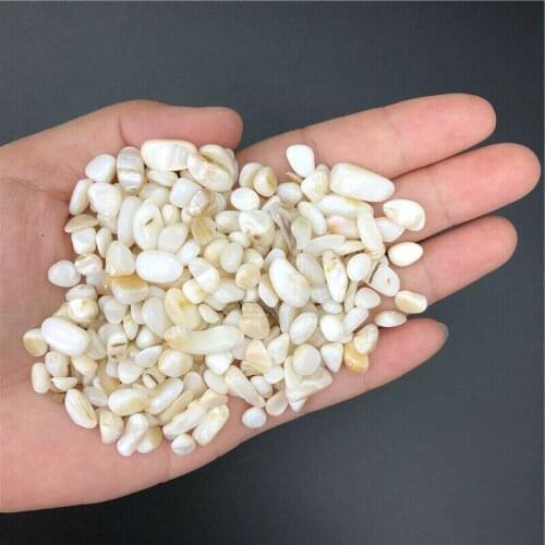 Wholesale 50g Natural Shell Powder Crystal Gravel Rock Gem Stone Bonsai Energy Stone Natural Quartz Crystals