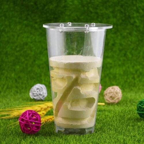 Mini Cup Ant Nest With Net Cover Pet Ant Three-dimensional Nest Breeding Nest Breeding Moisturizing Nest