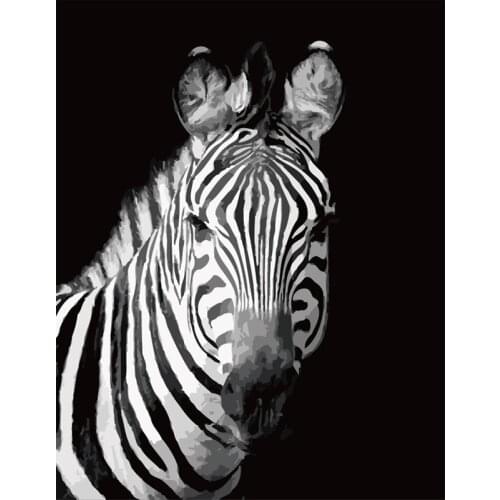 Painting By Number DIY Dropshipping big size Cute black and white zebra Animal Canvas Room Decoration Art picture Child Gift