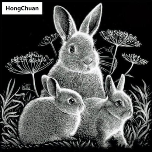 Cute rabbit full-width square round 5d diy diamond painting diamond mosaiccrafts diamondembroidery rhinestonedecoration new year