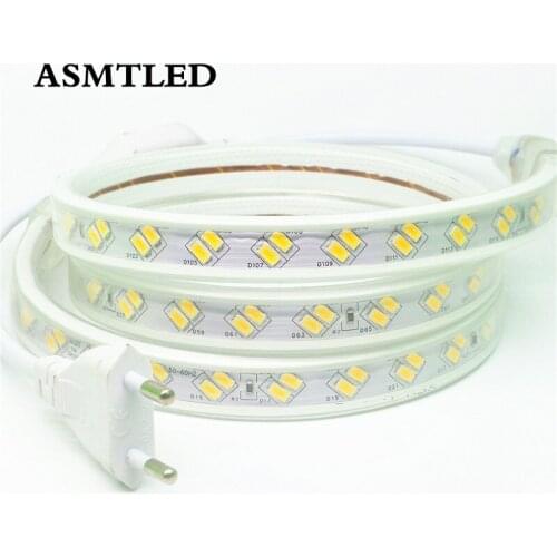 Free shipping LED Strip Light 120Leds/m 5630 5730 220V Tape White / Warm White Waterproof Supper brightness Home Decoration IP67