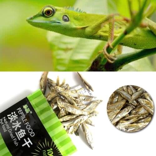 Tortoise Food Water Bread Worm Dried Shrimp Fish Turtle Freshwater Feed Aquarium Fish Feeding Supplies Fishes Flake Wholesale